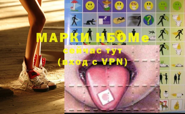 дмт Пересвет