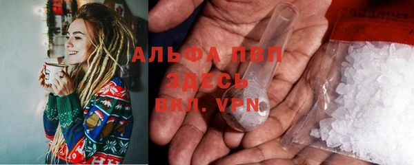 дмт Пересвет