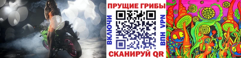 купить  цена  дарк нет клад  Псилоцибиновые грибы ЛСД  Суровикино 